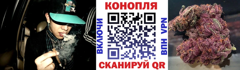 Марихуана план Покровск